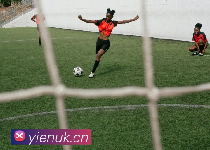 leyu乐鱼在线体育服务体系